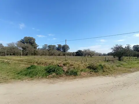Ruta Provincial 55