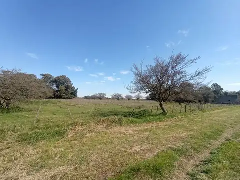 VENTA TERRENO C. VIDAL I 2.557 M² A 1 KM DE RUTA 2