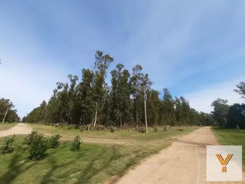 Terreno en venta - 10.000Mts2 - El Paraíso, Ramallo