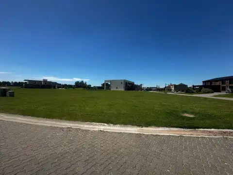 Mariano Castex 10000