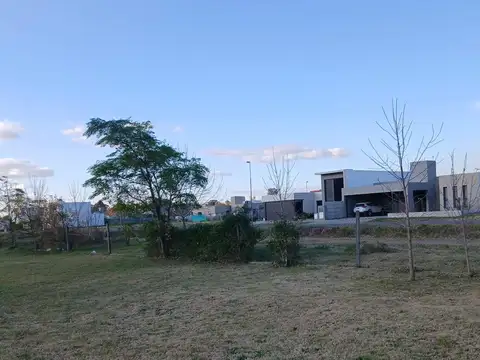 Terreno en Alquiler 98  mts Fondo