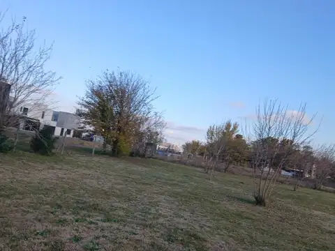 Terreno en Alquiler de 5190,0 m2
