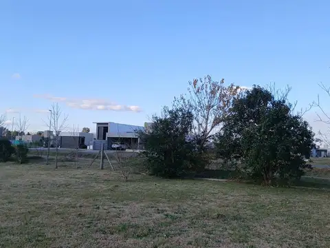 Terreno en Alquiler 53  mts Frente