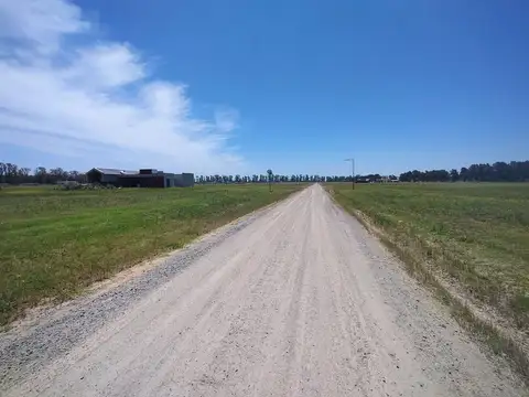 Ruta Provincial 6 km 142