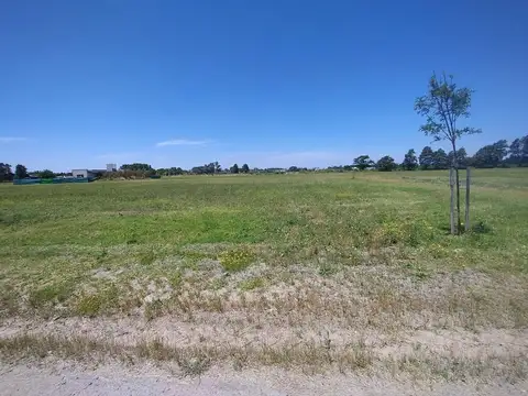 Ruta Provincial 6 km 142