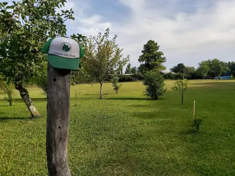 LOTEO VERDES DEL PILAR