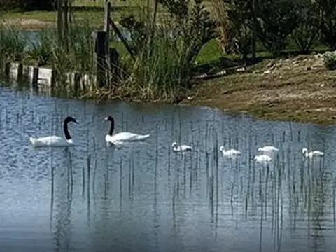 Terreno en Venta en El Cantón - Barrio Golf, USD 130.000