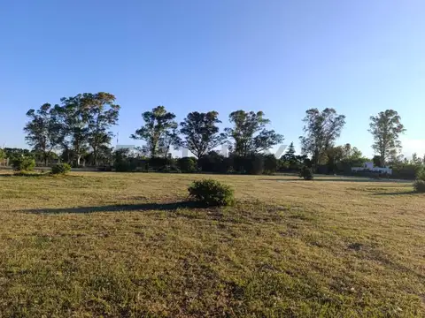 VENTA LOTE 1 HECTAREA CAMPOS DEL VIRREY