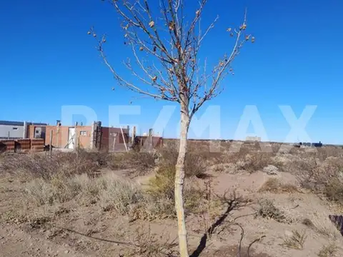 Terreno en Venta de 787,0 m2