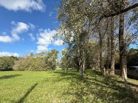 Domingo Lastra  1100