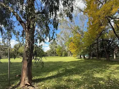 Domingo Lastra  1100