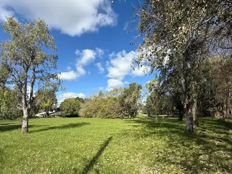 Lote en venta en Francisco Alvarez