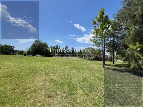 Terreno en Venta de 10000,0 m2