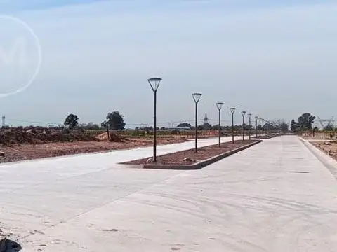 Juana de Arco al 5500