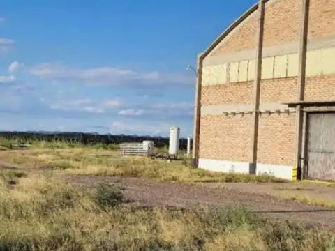 VENTA BODEGA - SANTA ROSA- MENDOZA