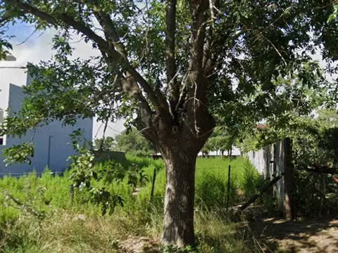 Terreno en Venta de 753,0 m2
