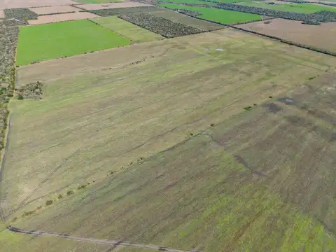Campo agricola en Alcaraz con 230 hectáreas, zona La Paz