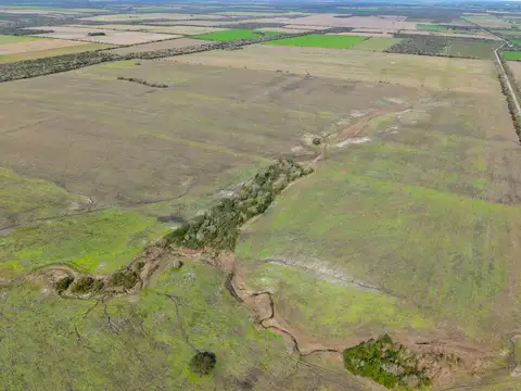 Campo agricola en Alcaraz con 230 hectáreas, zona La Paz