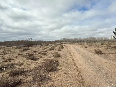 En Venta | Terreno de 750 m2 | Arroyito | Plottier