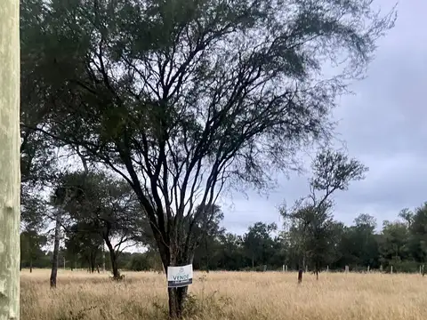 Terreno en Venta en Colonia Popular, USD 8.000