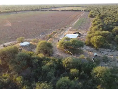 CAMINO RURAL S/N. BALDE DE LA MORA. SAN VICENTE. DPTO. SAN ALBERTO. PCIA. DE CÓRDOBA..