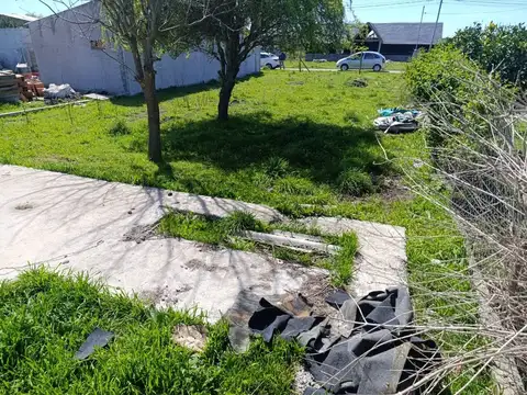 Isla Joinville 1300