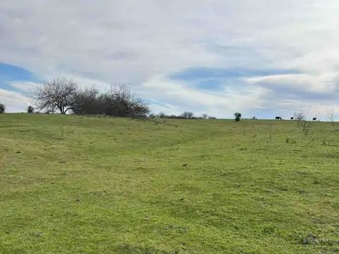 VENTA CAMPO EN FIGHIERAS