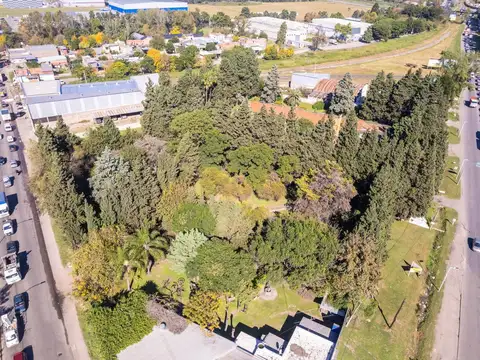 Ruta 33 Y Avenida de Las Palmeras