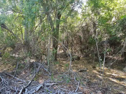 Terreno en Venta en Meliquina, Lácar