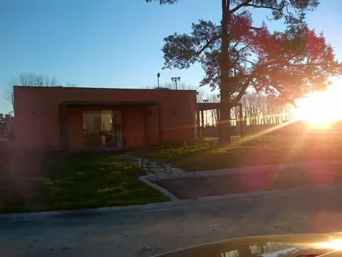 Terreno - La Alameda