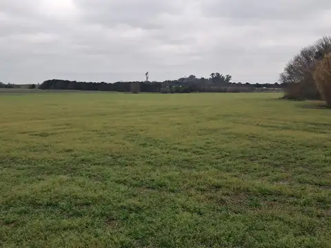 Campo 80 hec Agricolas Molina Santa Fe