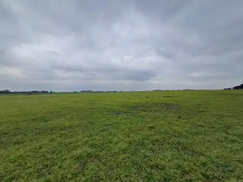 Campo en Venta de 80  ha