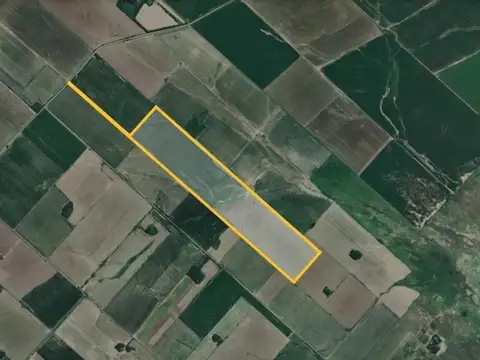 Campo en Venta Agrícola