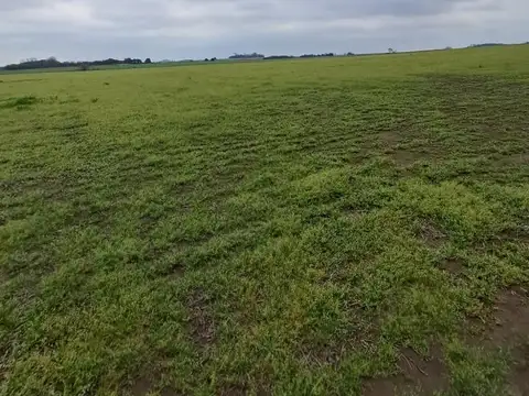 Campo en Venta de 80  ha