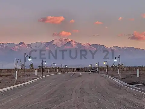 VENTA DE LOTE "TUPUNGATO VALLER"