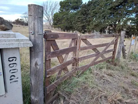 Lote Fondo Arbolado Al Arroyo El Negro 882 M2 Piscicultura
