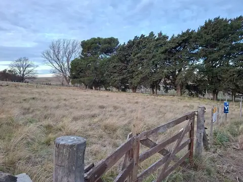 Terreno en Venta, FOT 120