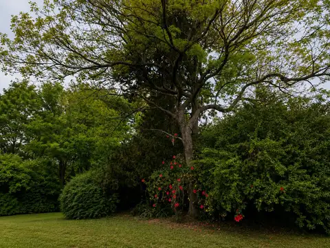 Terreno en San Isidro