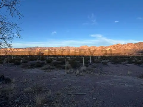 VENTA DE TERRENO EN USPALLATA, LAS HERAS.