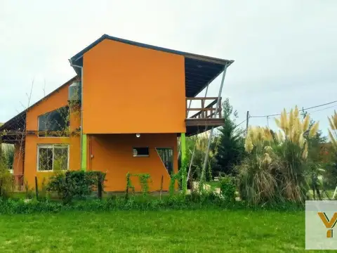 Domselaar Chico