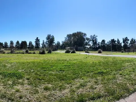 Terreno en Venta de 1000,0 m2