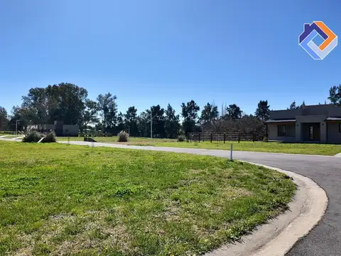 Consultar dirección