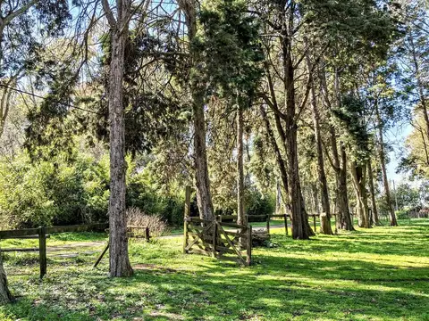 Lindísima quinta de 10.000 m2 en alquiler en Parada Robles  por 1 año