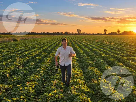 FRACCIÓN 55 HA EN SAN PEDRO SOBRE RUTA 1001 | ALTO POTENCIAL DE SUBDIVISIÓN E INVERSIÓN