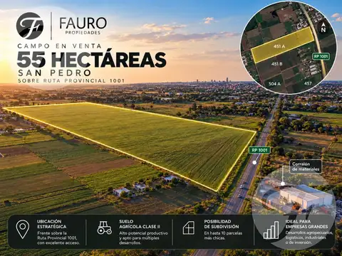 FRACCIÓN 55 HA EN SAN PEDRO SOBRE RUTA 1001 | ALTO POTENCIAL DE SUBDIVISIÓN E INVERSIÓN