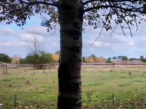 campo en venta de 36 hectareas en Canning