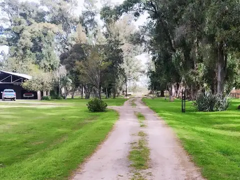 campo en venta de 36 hectareas en Canning