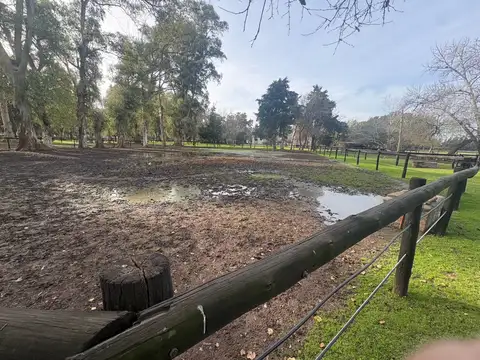 campo en venta de 36 hectareas en Canning