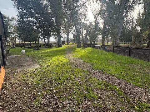 campo en venta de 36 hectareas en Canning
