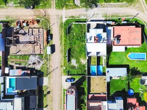Altos del Zapla higuerilla
